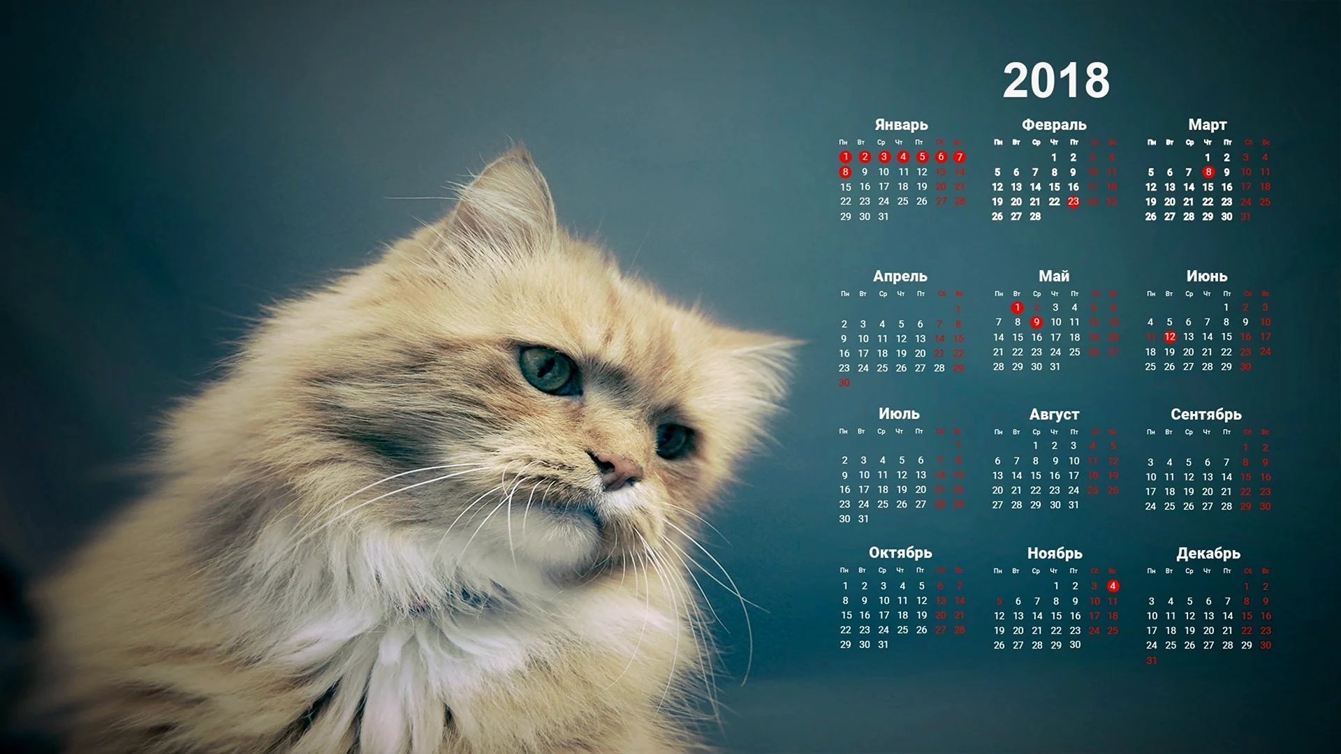 Красивый календарь