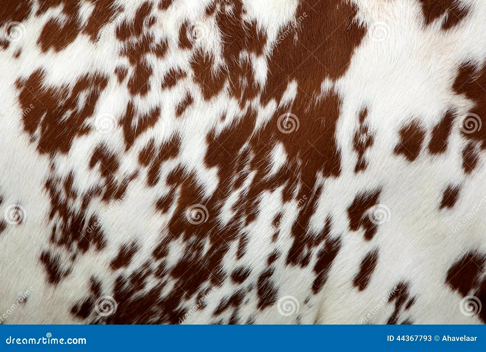 Красно белый коровий принт