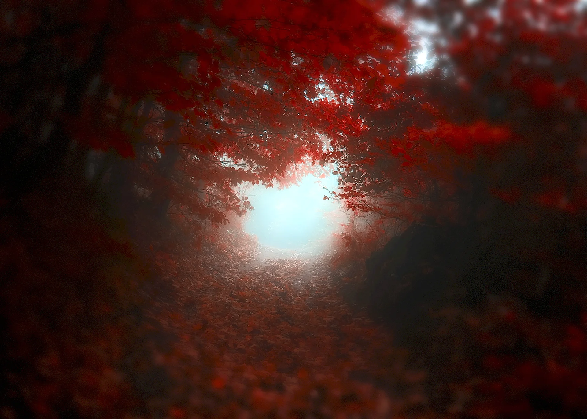 Красный туман