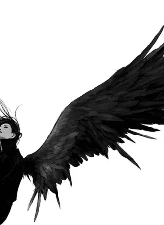 Крылья демона черные