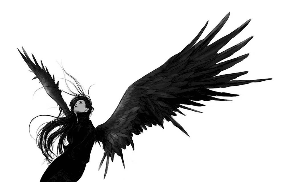 Крылья демона черные