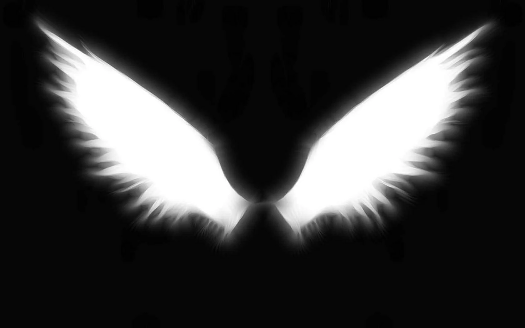 Крылья на черном фоне