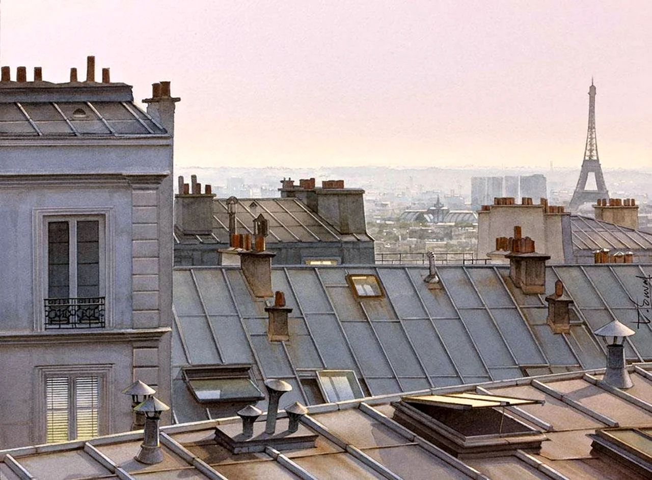 Крыши Парижа Тьерри Дюваля