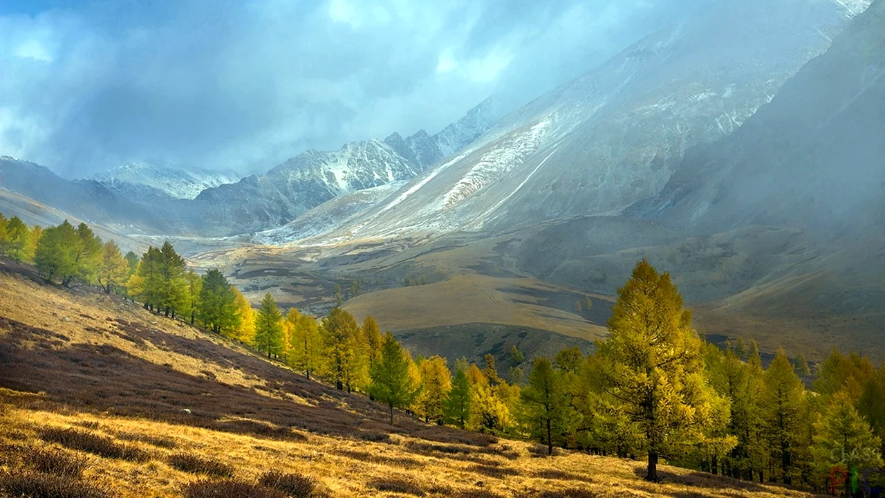 Курайская степь Республика Алтай