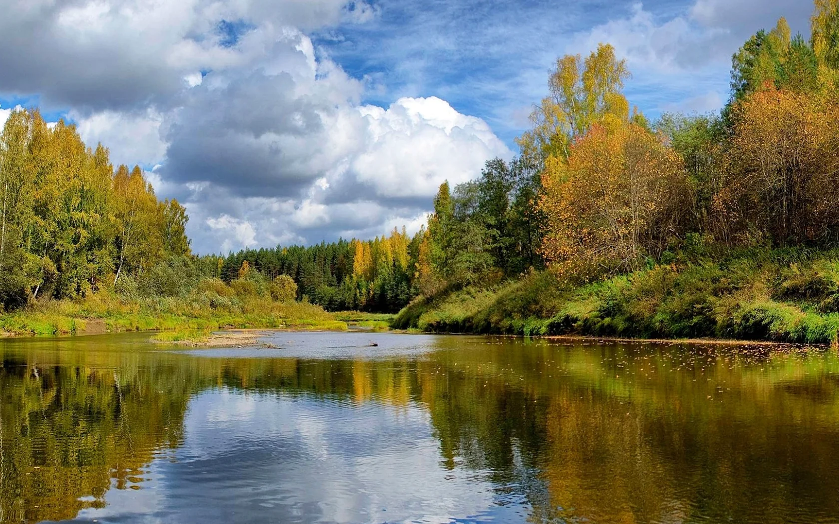 Лесные озёра средней полосы России