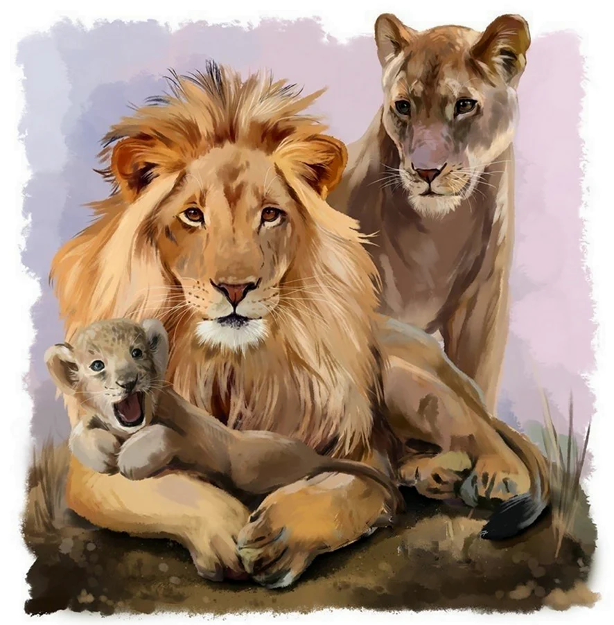 Лев львица и Львенок