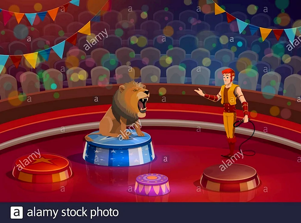 Лев на тумбе в цирке