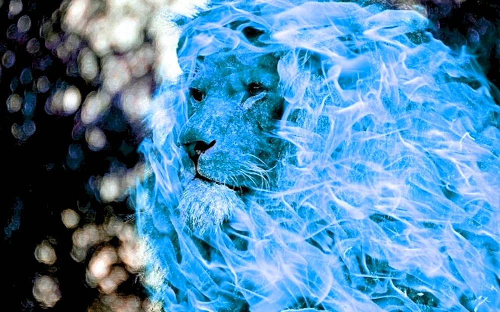 Лев в синем пламени