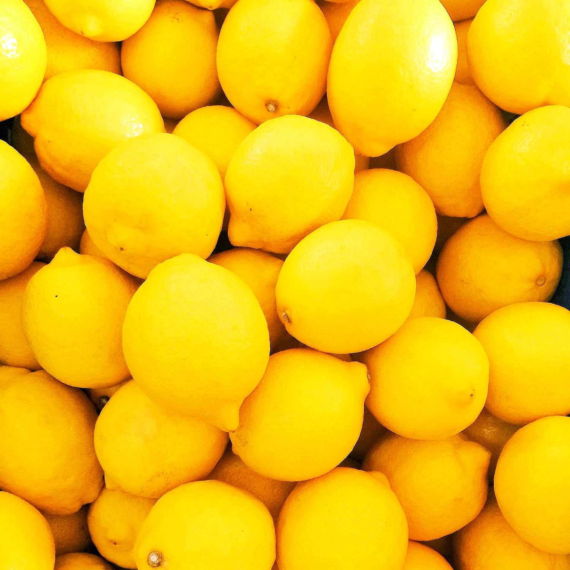 Лимонные Еллоу