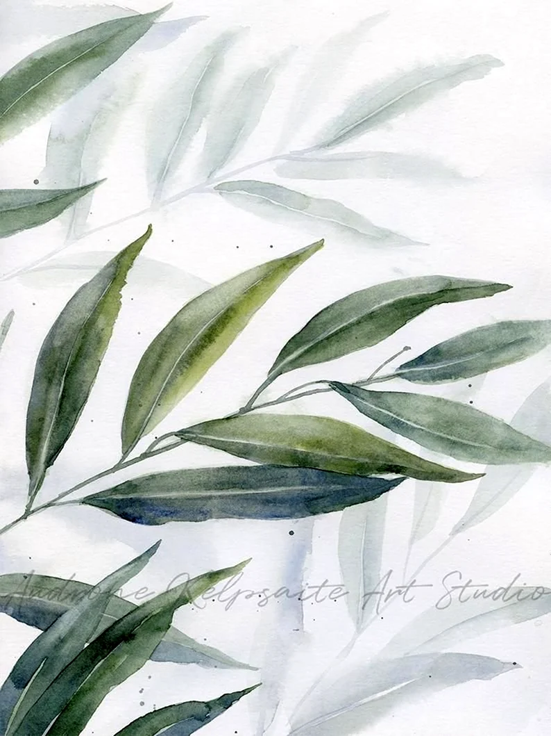 Листья эвкалипта акварель