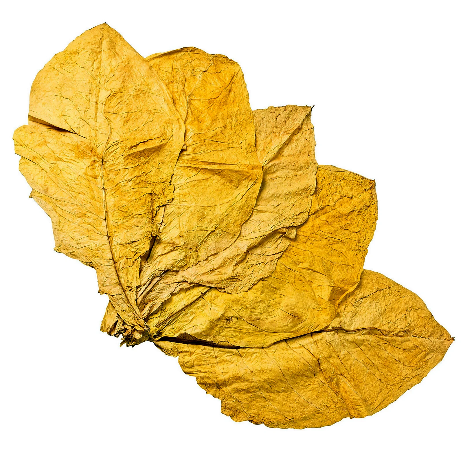 Листья табака