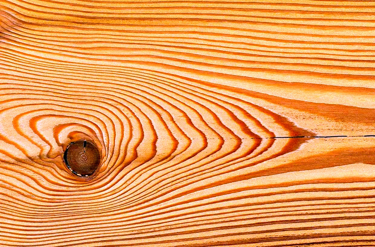 Лиственница Сибирская древесина
