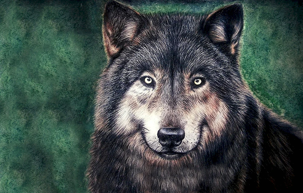 Лицо волка
