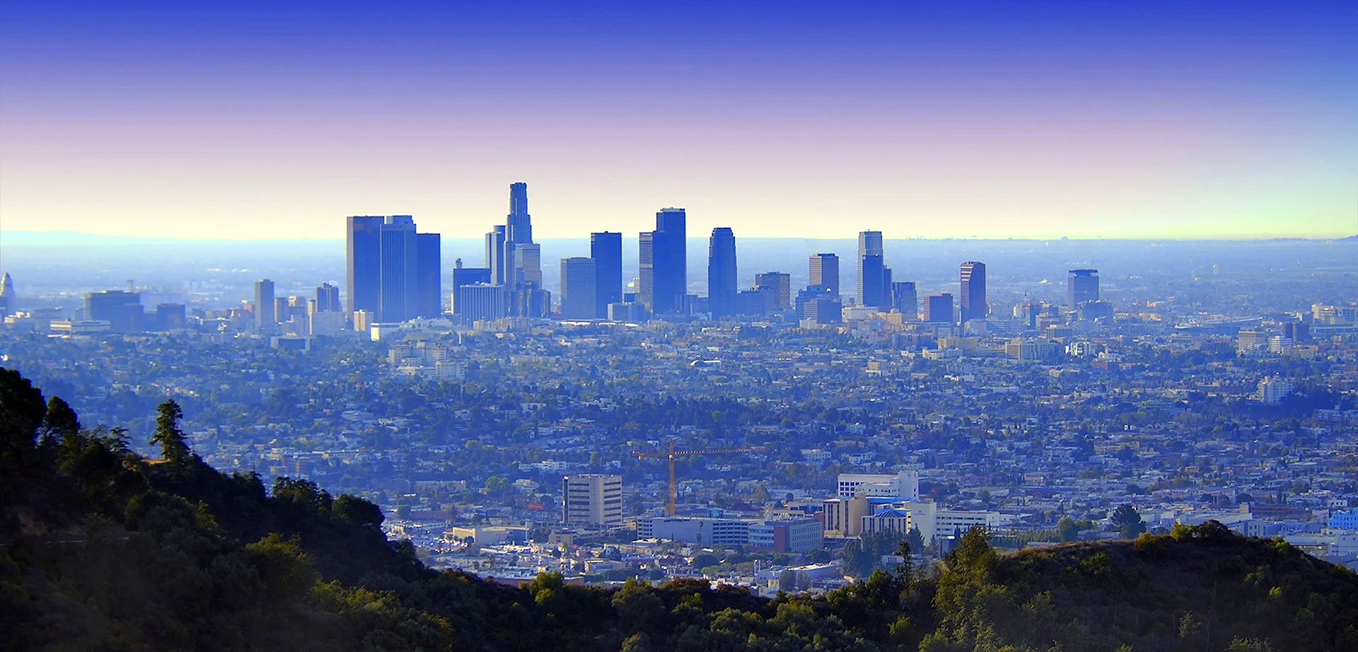 Лос Анджелес 2010