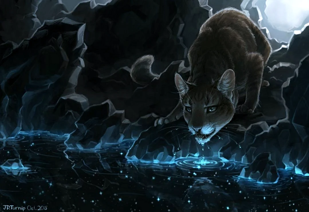 Лунное озеро коты Воители