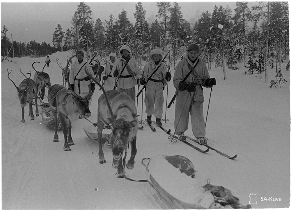 Лыжники советско-финская война