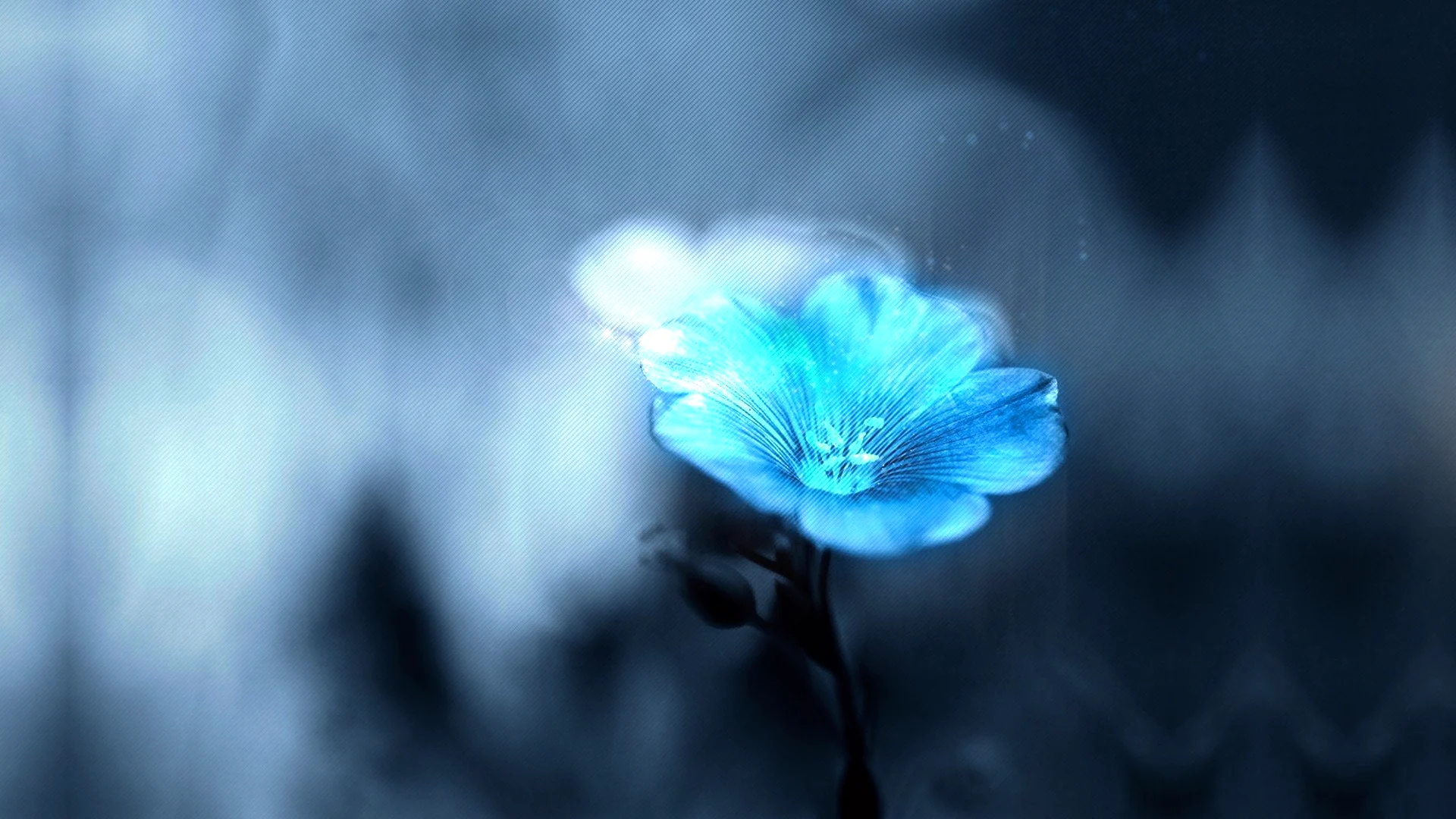 Магические синие цветы