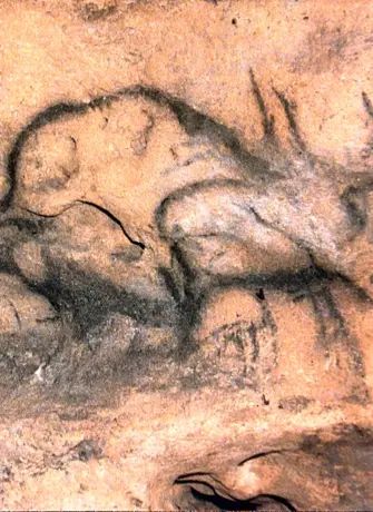 Мамонт пещера фон де Гом
