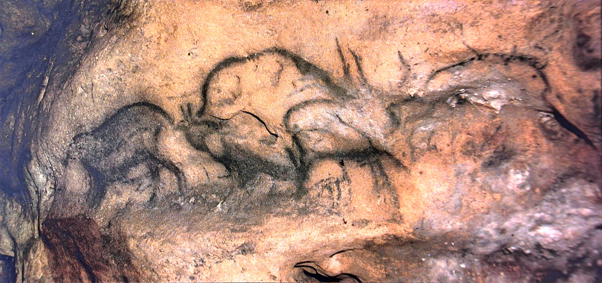 Мамонт пещера фон де Гом