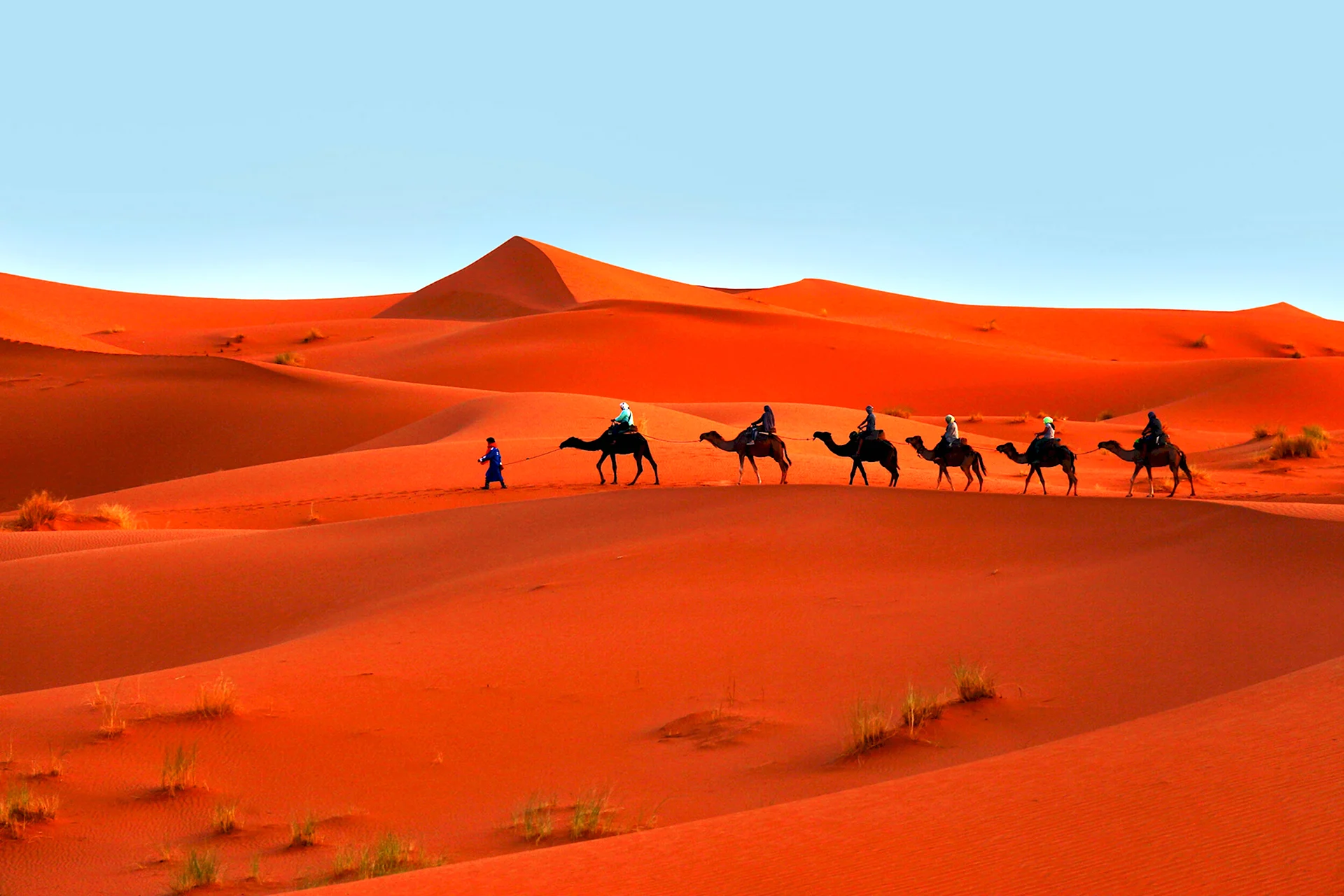 Марокко сафари