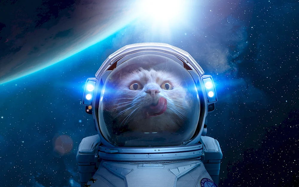 Маскот – кот-космонавт