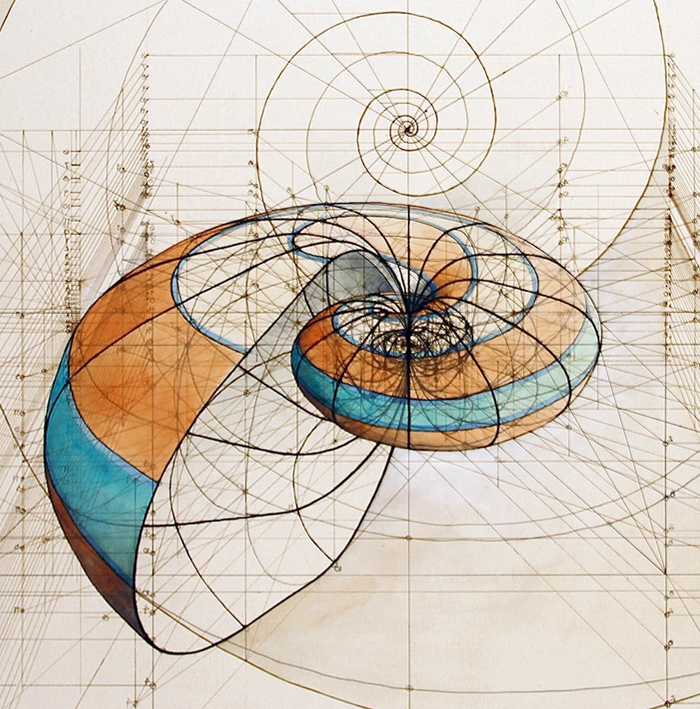 Математические картины Rafael Araujo