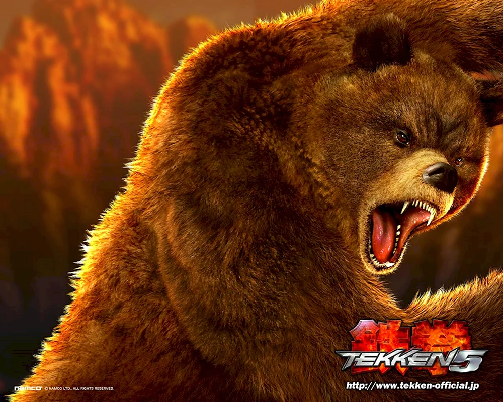 Медведь Kuma Tekken