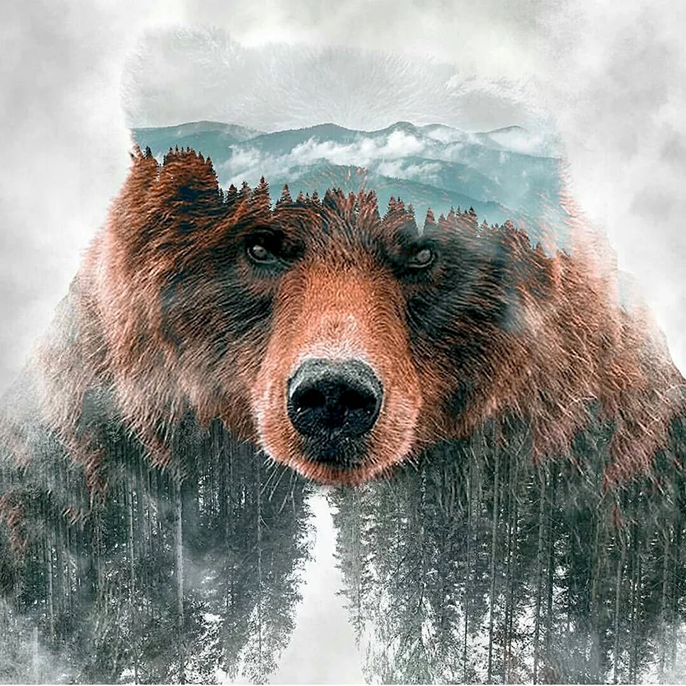 Медведь Русь