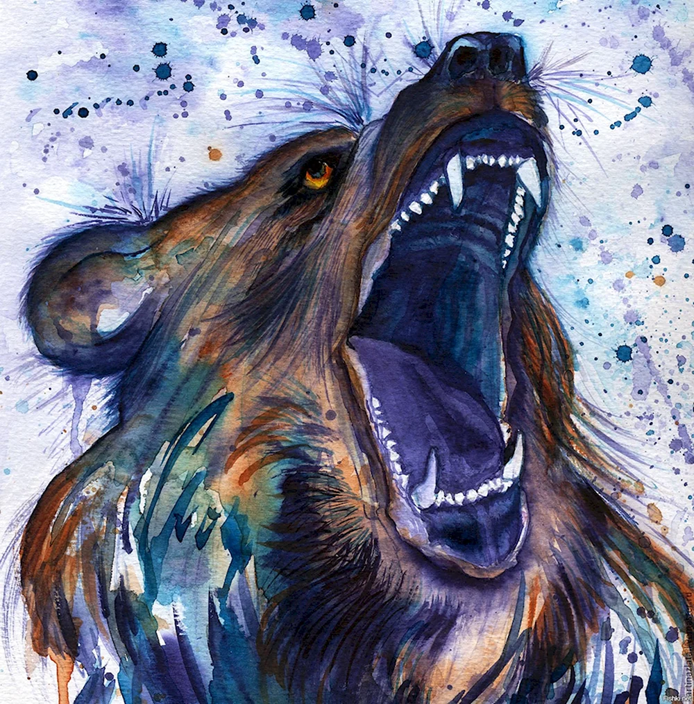 Медведь в ярости
