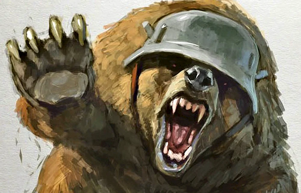 Медведь в каске