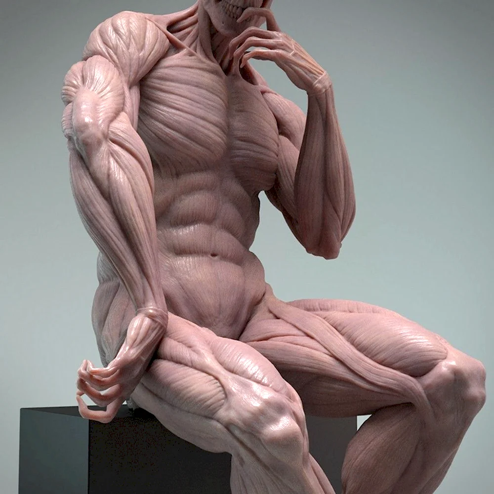 Микеланджело анатомические скульптуры