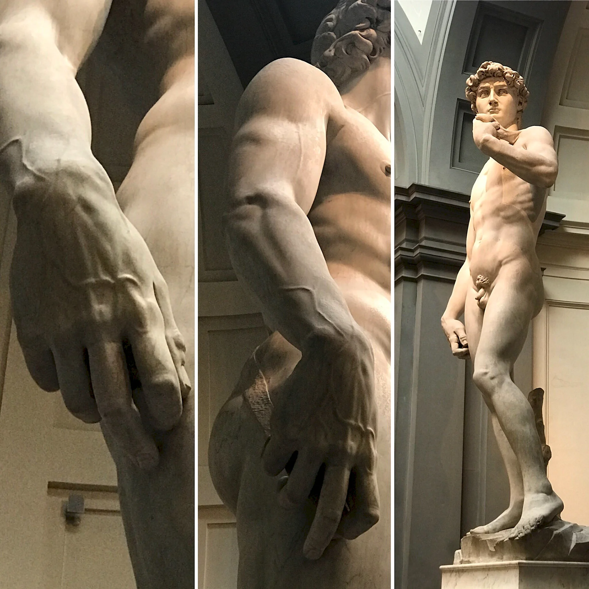 Микеланджело. Давид. 1504.