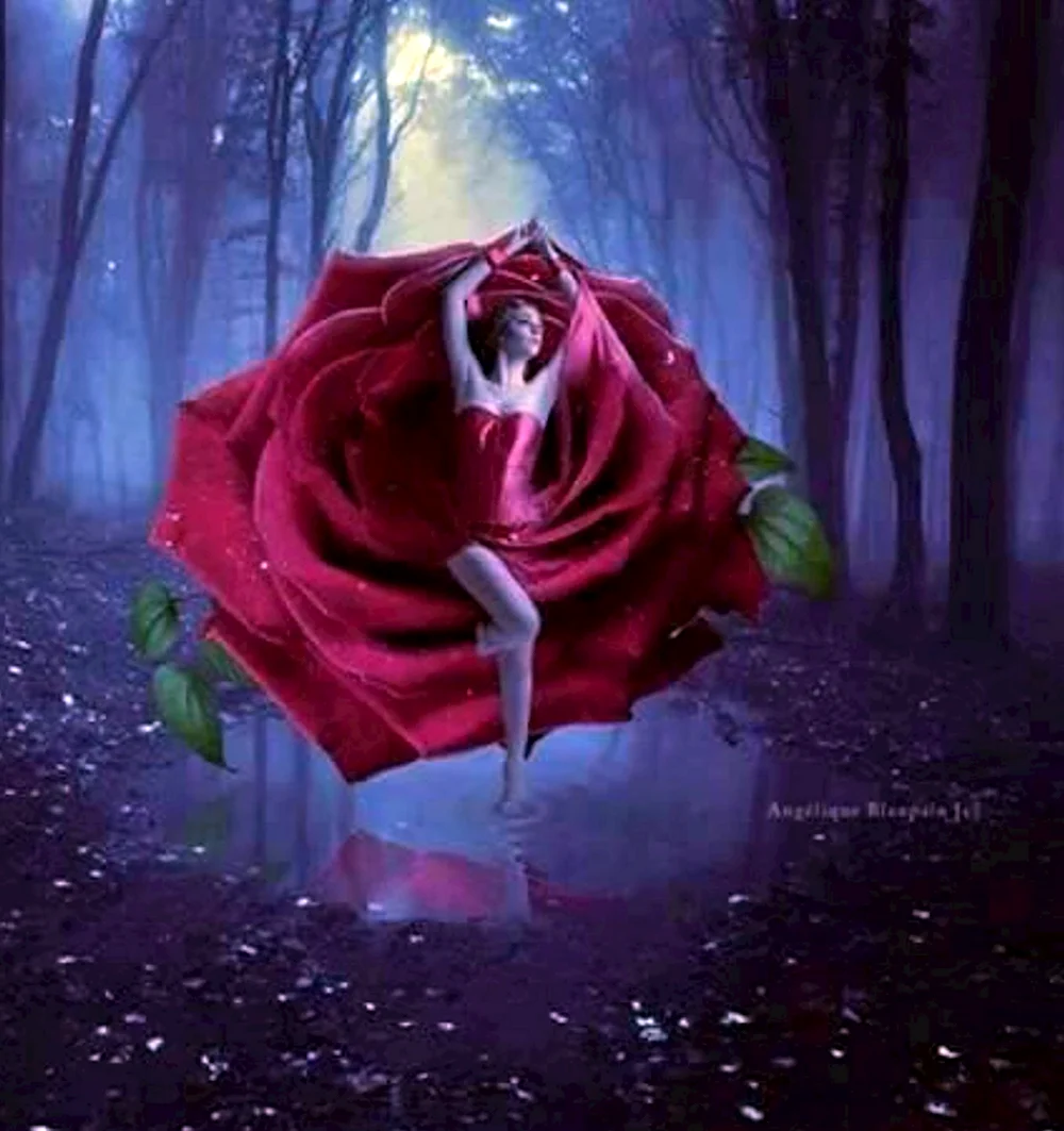 Мистическая роза