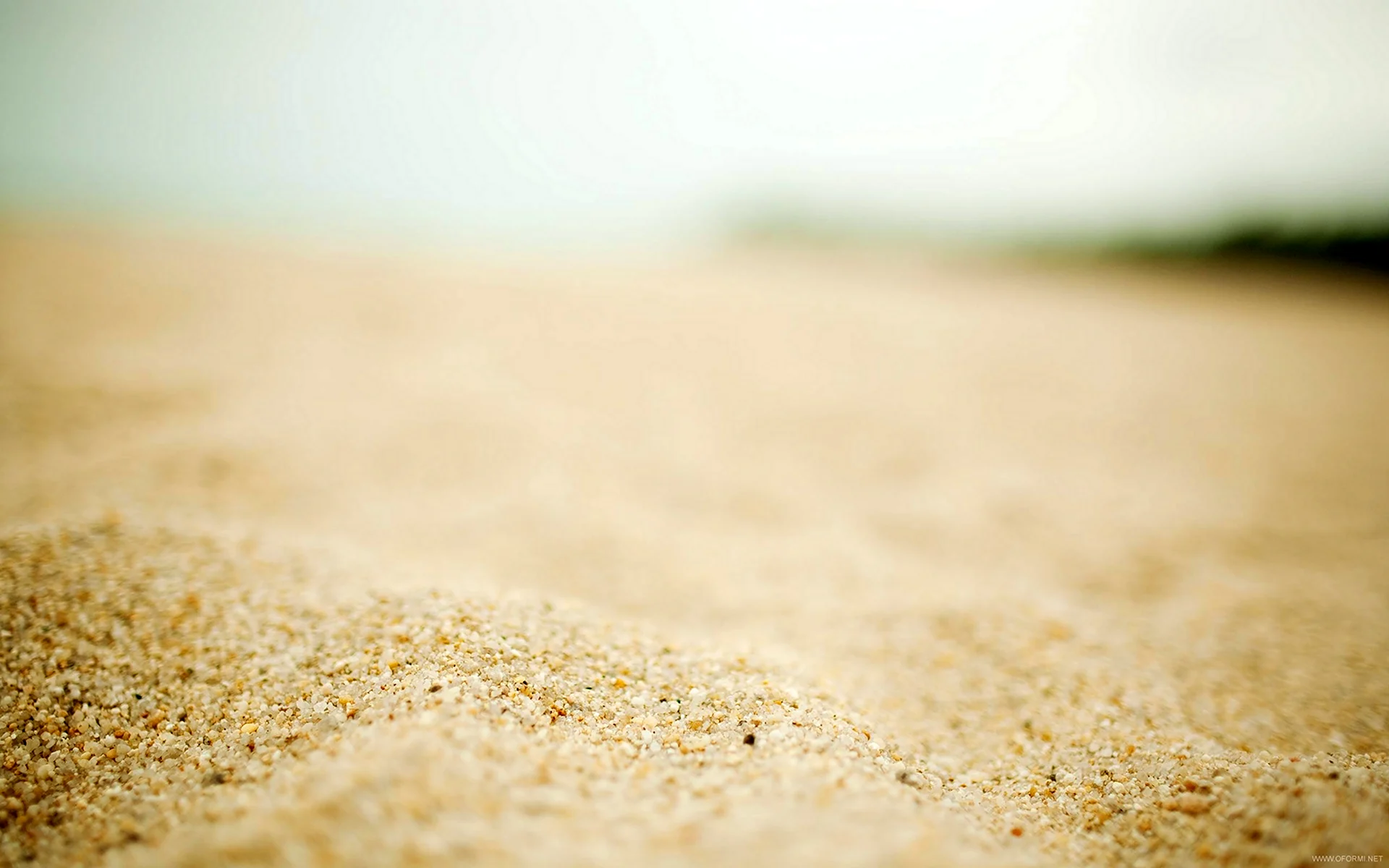 Мокрый песок