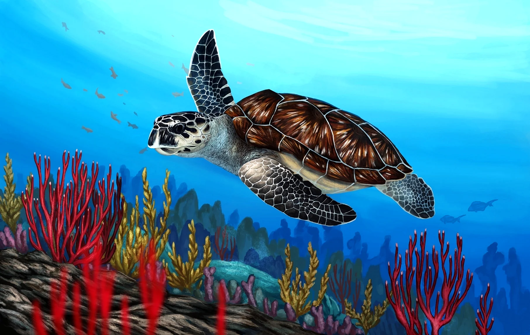 Морская черепаха Хоксбилл