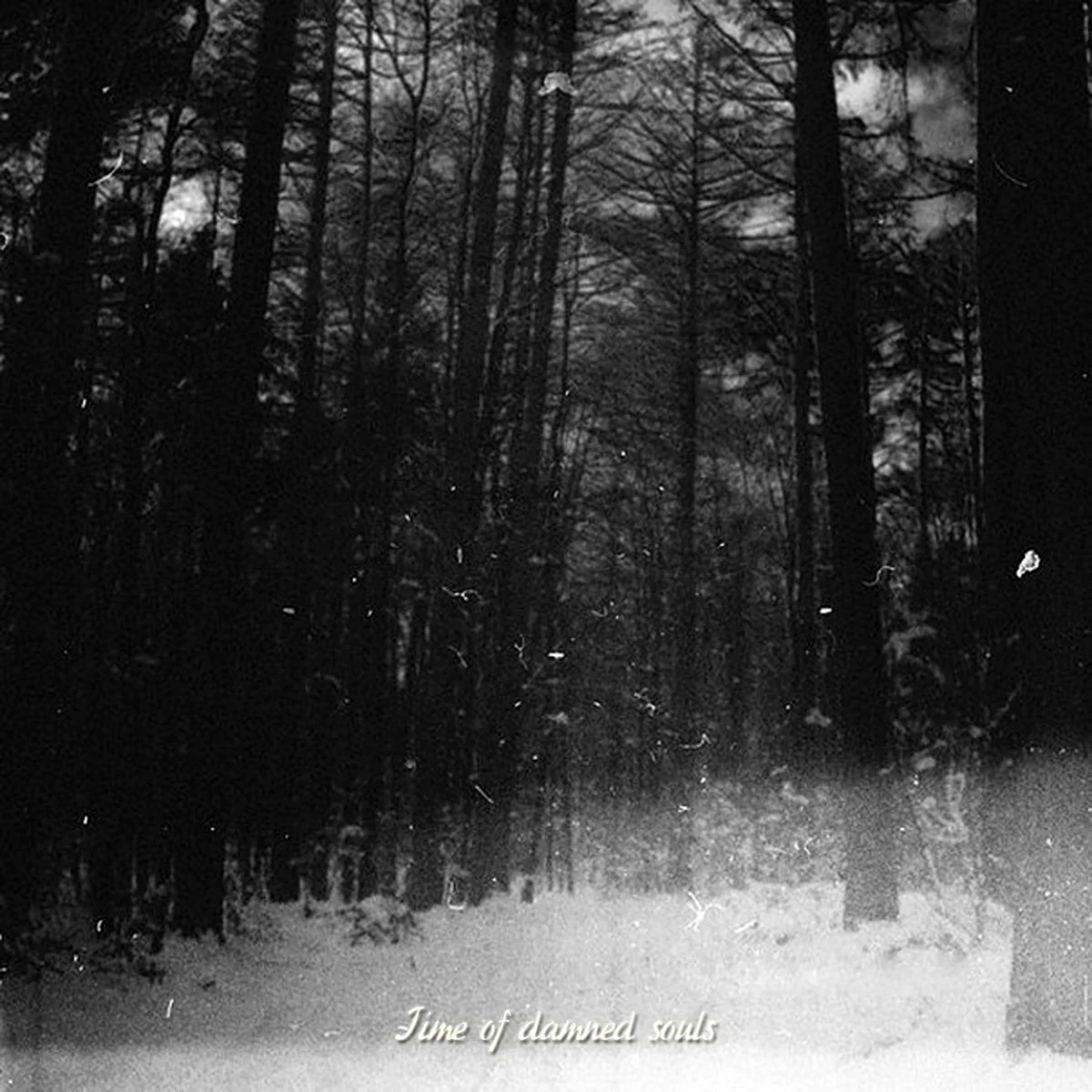 Мрачный снежный лес кладбище