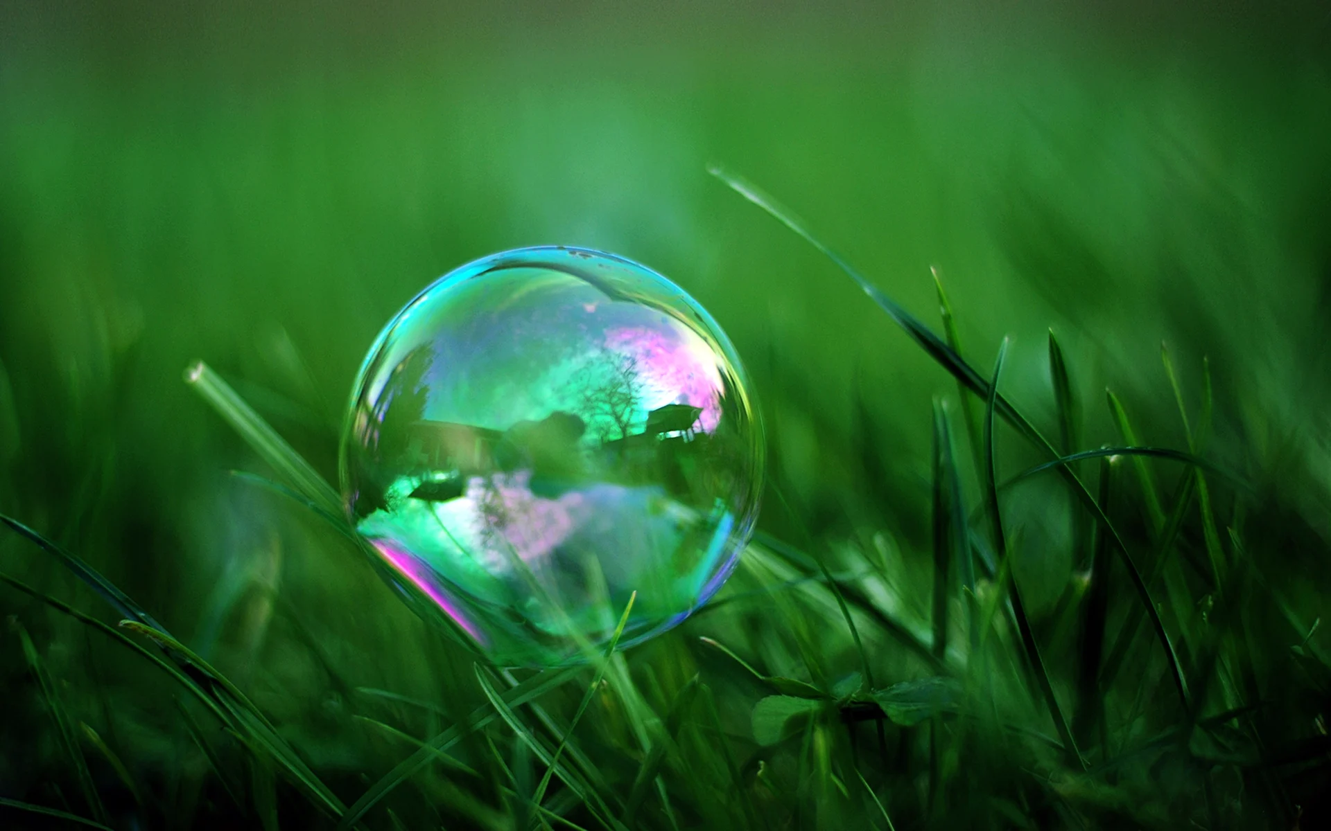 Мыльные пузыри на траве