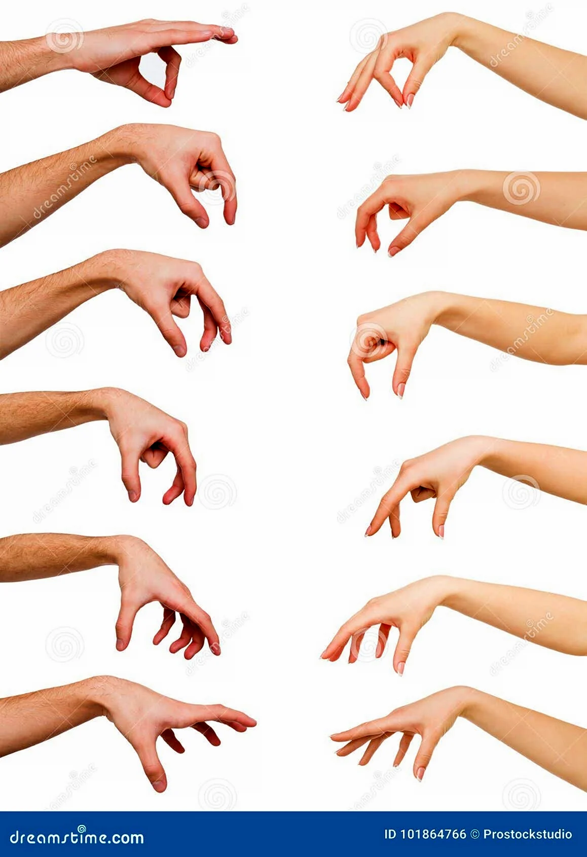 Набор женских рук на белом фоне
