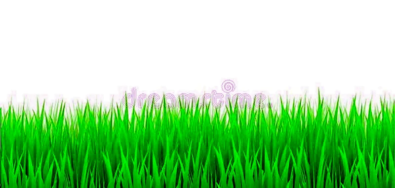 Наклейки травы