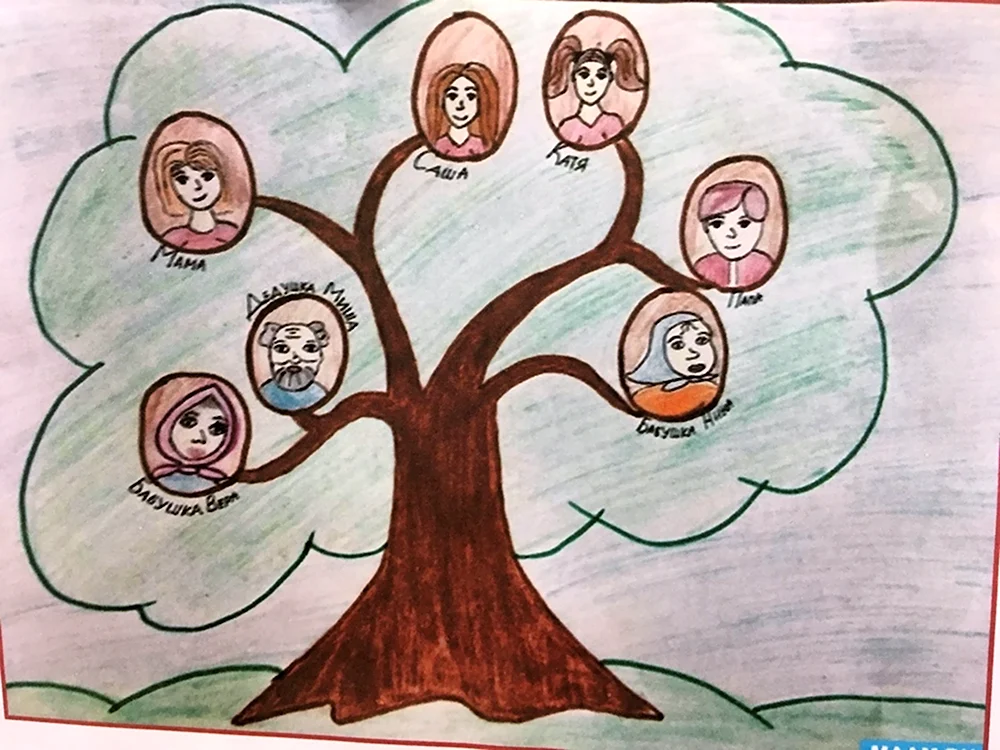 Нарисовать семейное дерево