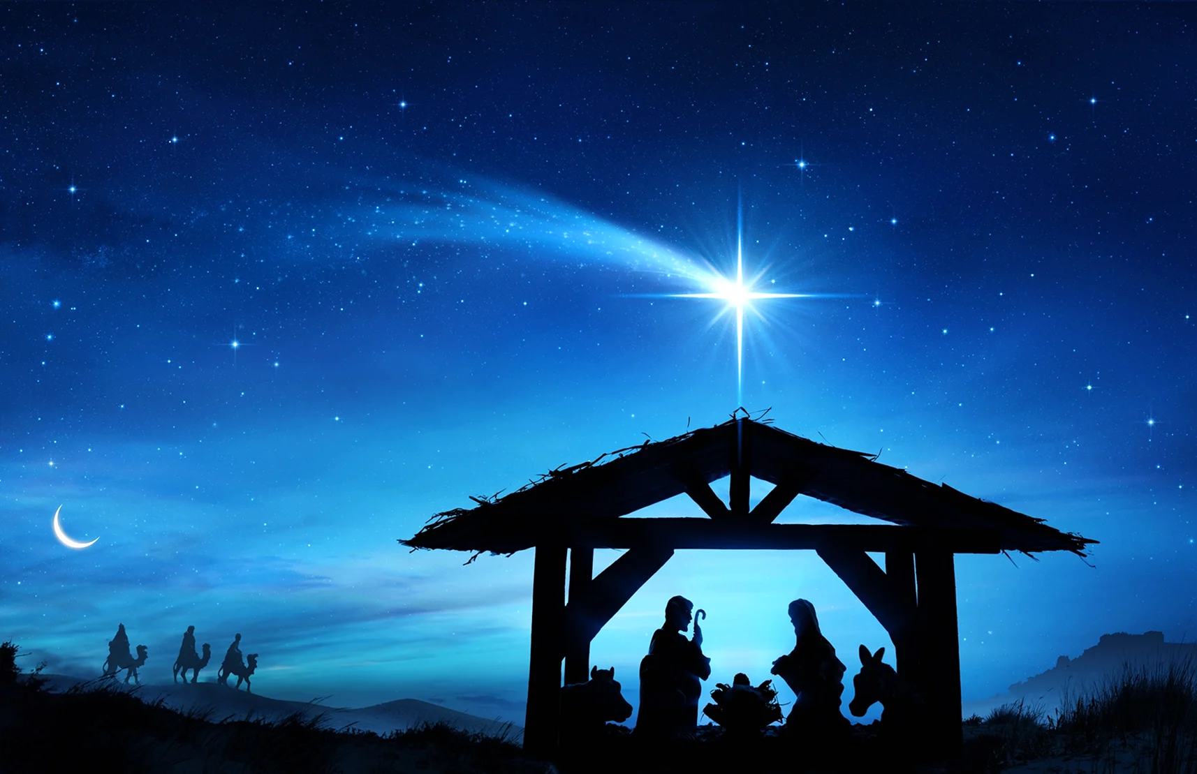 Nativity at Night