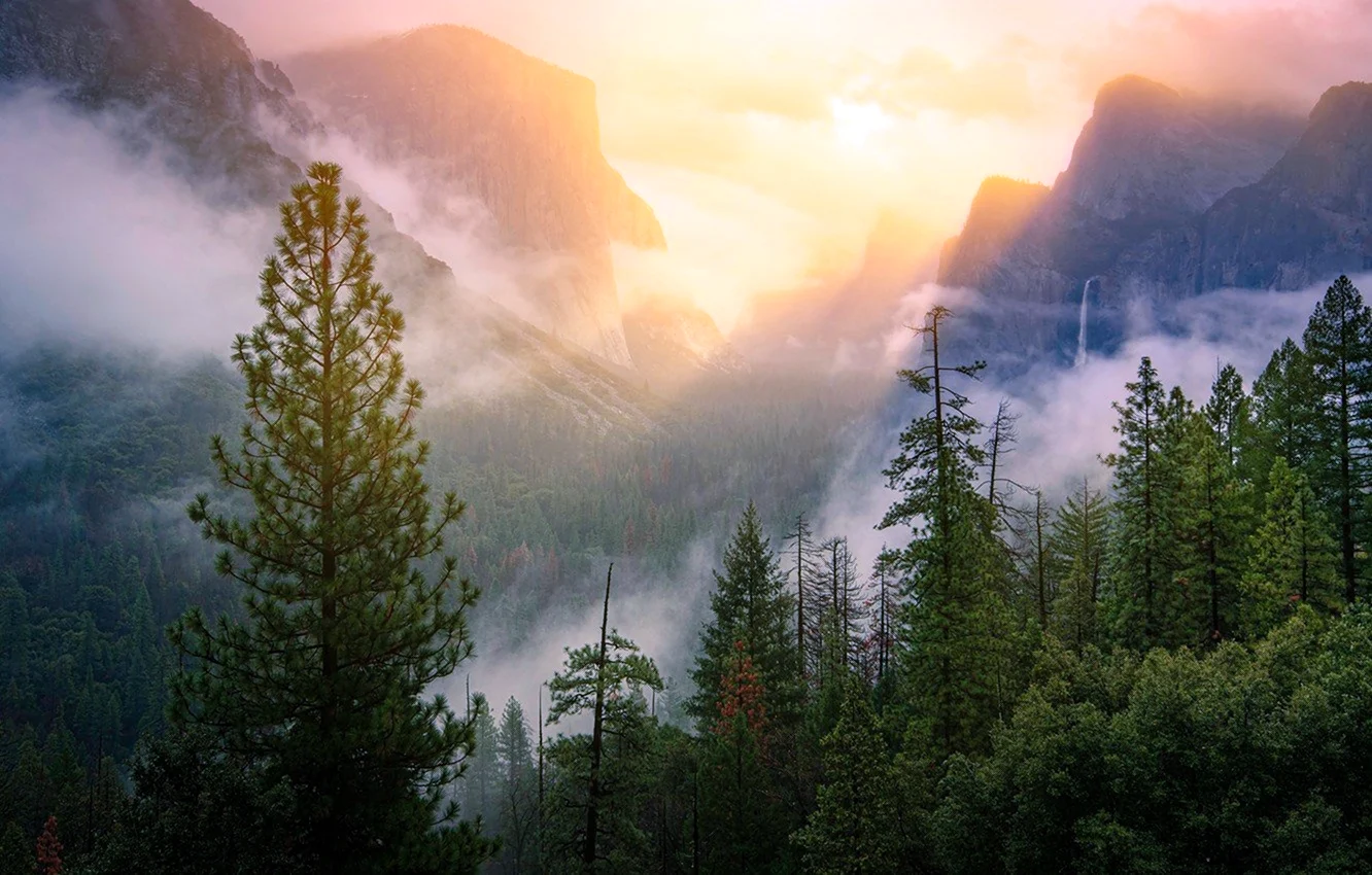 Национальный парк Йосемити в тумане