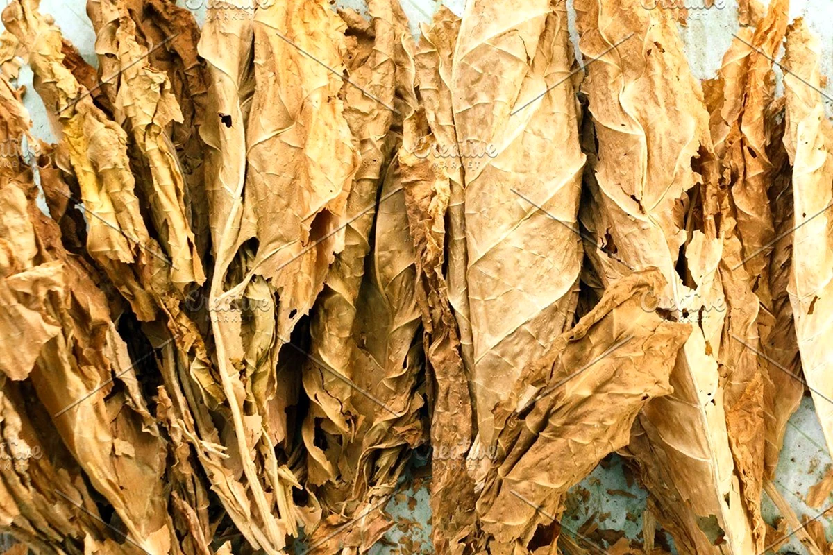 Натуральный табак в листе