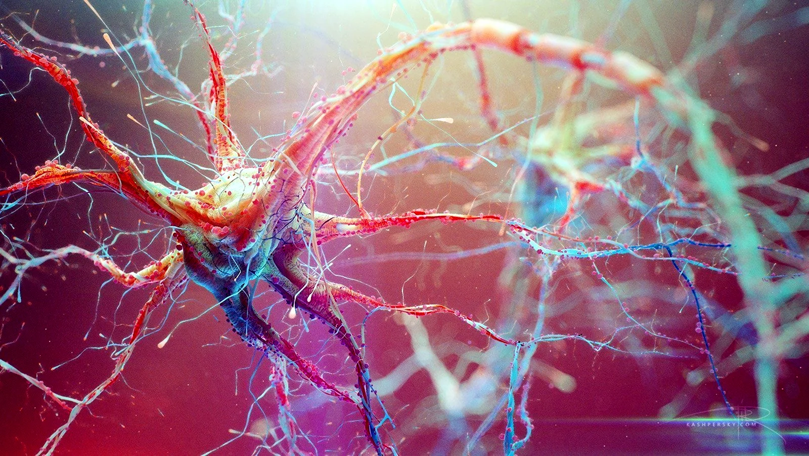 Нейронные клетки головного мозга