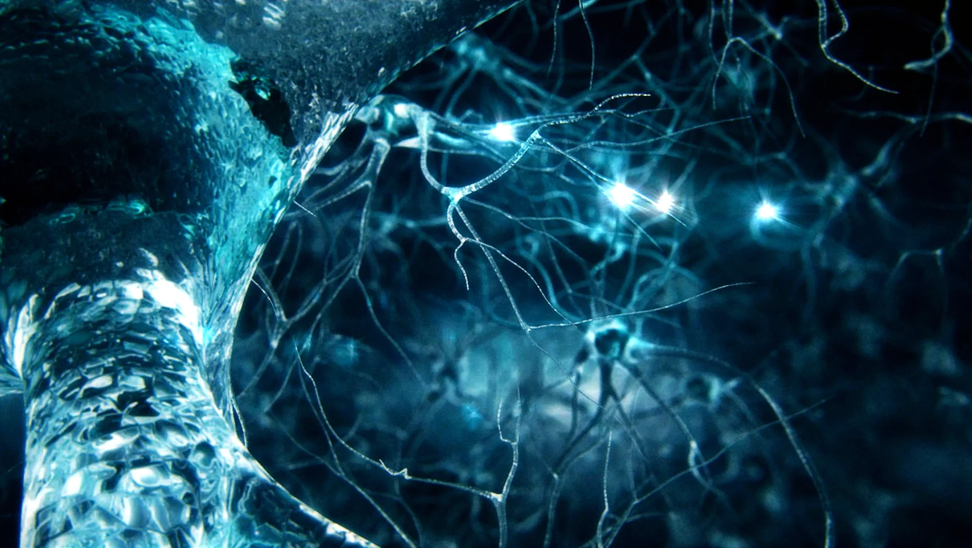 Нейроны фэнтези