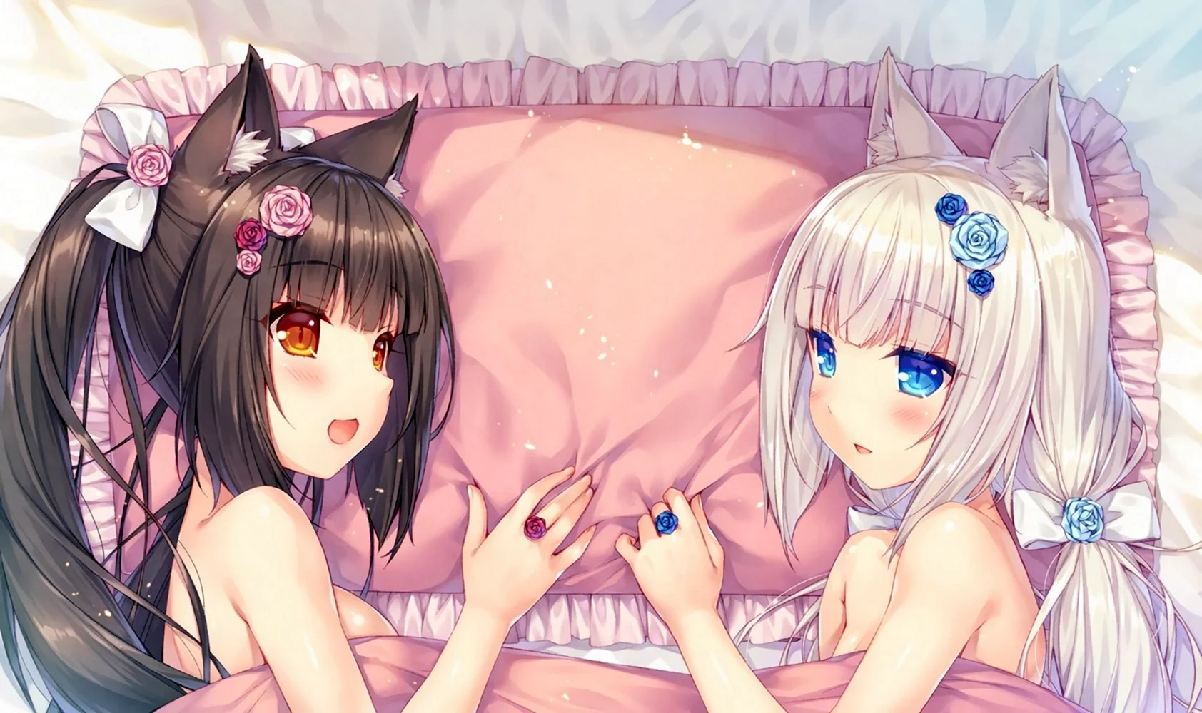 Nekopara vol 18. Чокола некопара. Некопара Чокола и Ванилла 18. Ванилла некопара. Сайори некопара.