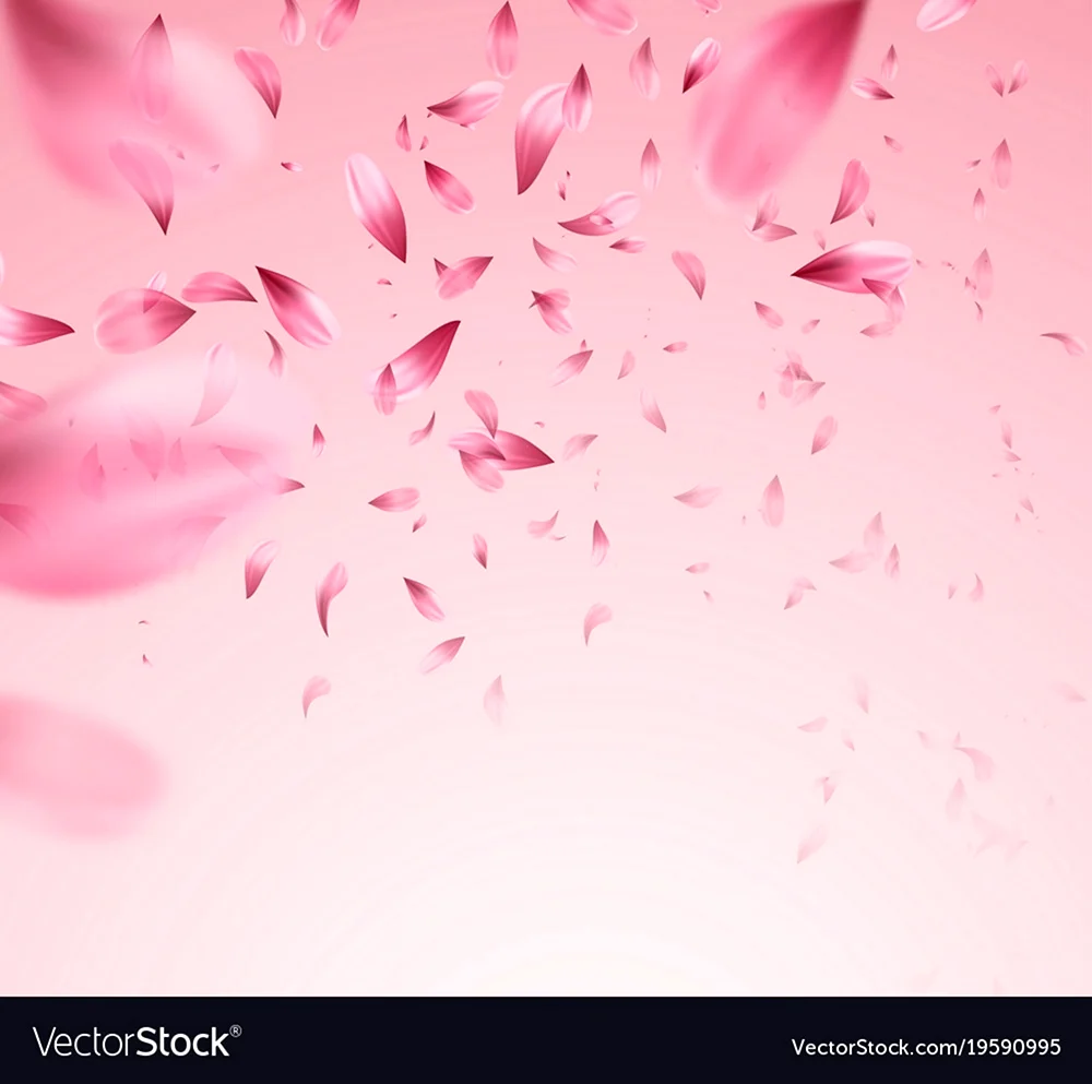 Нежные розовые лепестки падают