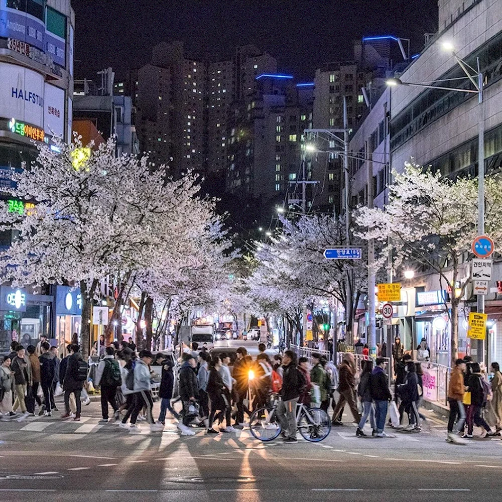 Ночная Корея Сеул