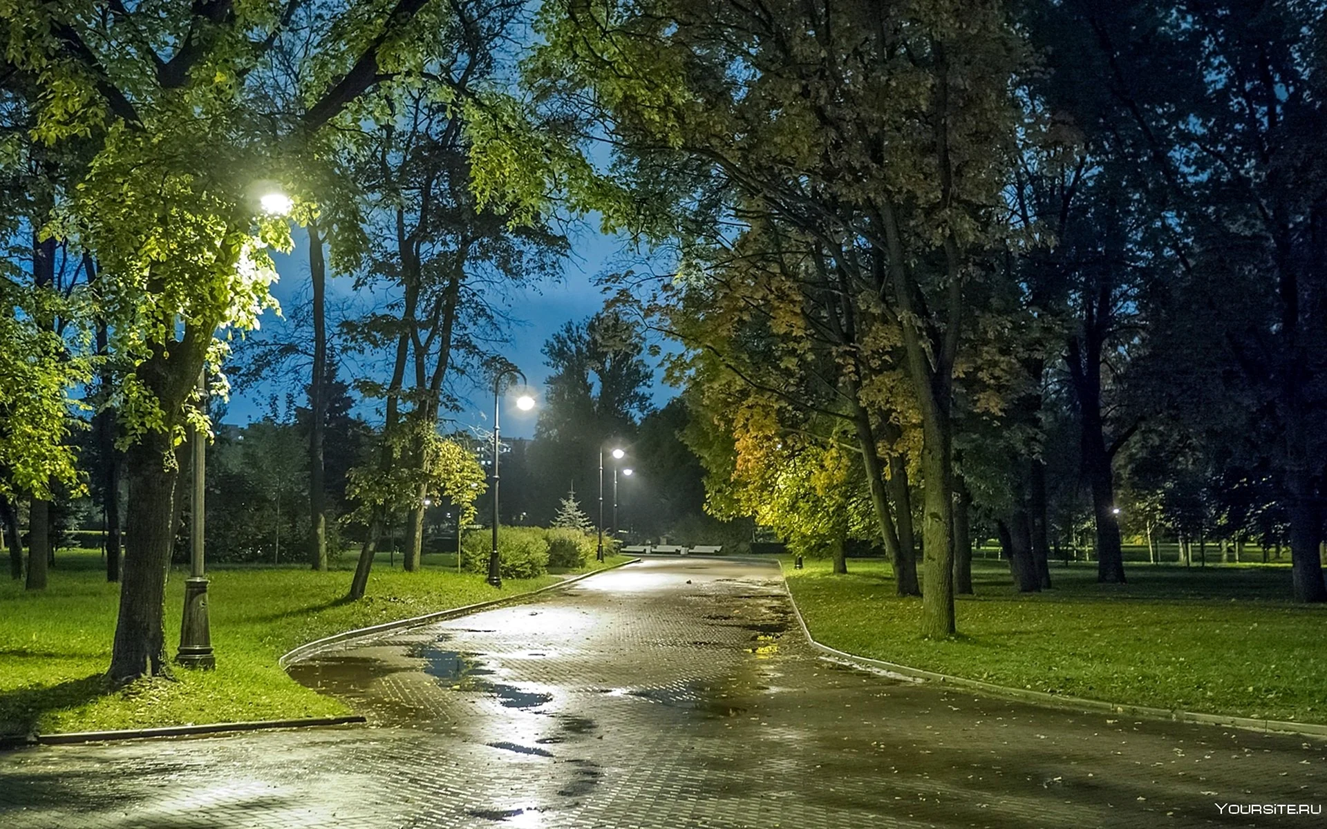 Ночной парк Санкт-Петербург