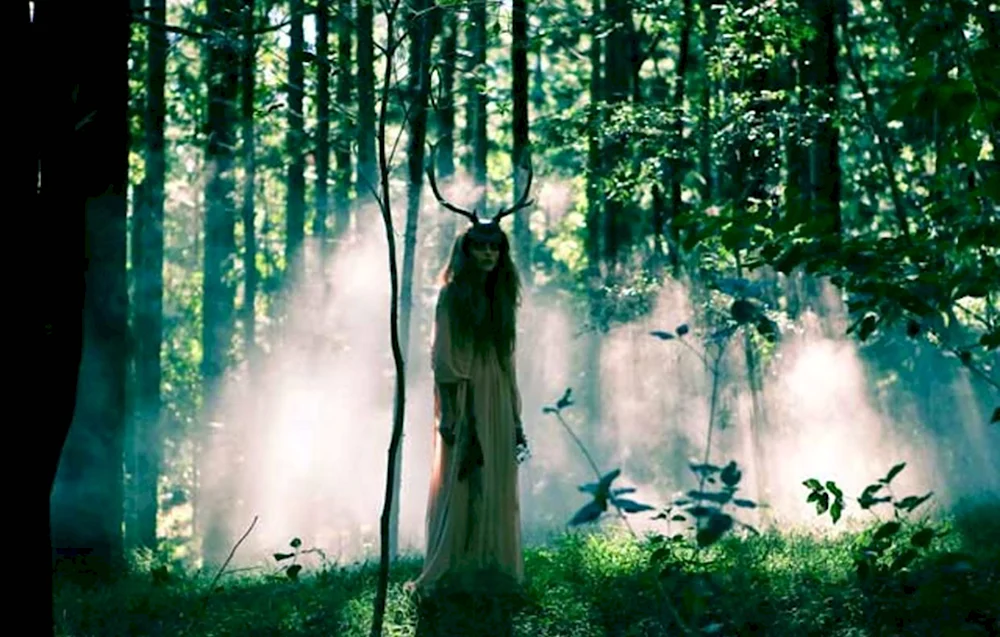 Обитель Лесной ведьмы